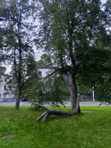 Centrālais tenisa klubs