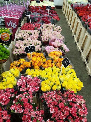 Floimpex