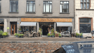 Kivi Real Estate