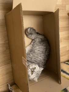 Petshop.lv