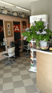 Salons 5+