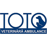 Toto