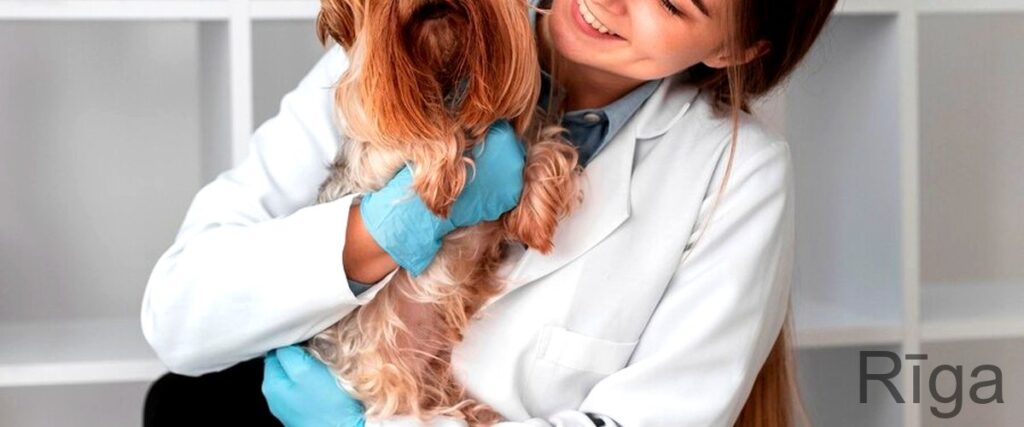 7 labākās veterinārās aptiekas Rīgā